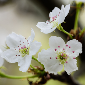 亚洲中文无码久…
